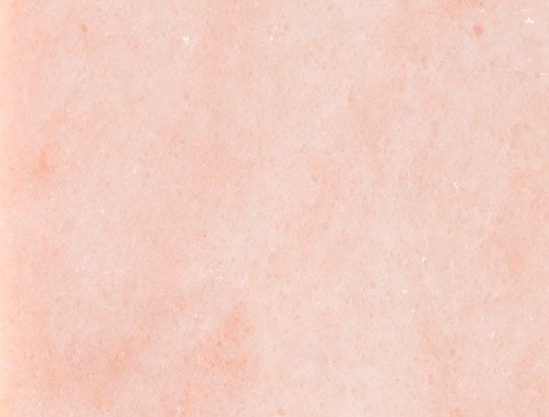 Portuguese Rose PR